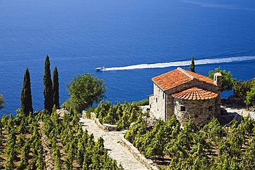 Small villa and vineyard above the coast near Colle d'Orano, Elba, Tuscany, Italy, Mediterranean, Europe