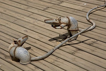 Modern art, rats made from metal pipes, Es Baluard Museu d'Art Modern i Contemporani de Palma, Modern & Contemporary Art Museum, Palma de Mallorca, Majorca, Balearic Islands, Spain, Europe