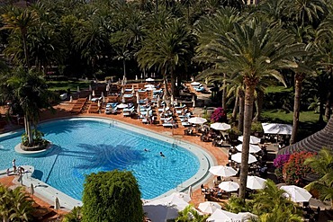 Swiming pool in a palm garden, Design Palm Beach Hotel, Grand Canary, Canary Islands, Spain, Europe