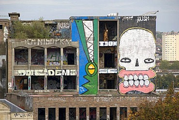 Large graffitit on an old, abandoned building, writing, crocodile, face, Bristol, England, Great Britain, Europe