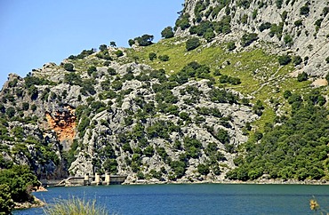 Fresh water lake Gorg Blau, dam, protected landscape area, Majorca, Balearic Islands, Spain, Europe