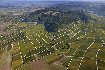 Aerial view, vineyards, Iphofen, Bavaria, Germany, Europe