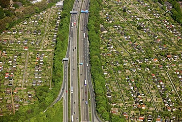 Aerial photo, Duisburg motorway junction A40 and A59, allotment gardens, Duisburg, Ruhr area, North Rhine-Westphalia, Germany, Europe