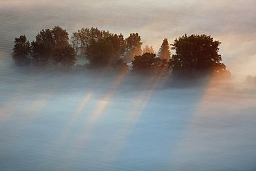 Aerial photograph, Mueritz National Park, sunrise, early morning fog, east bank, Mecklenburg Lake District, Rechlin, Mecklenburg-Western Pomerania, Germany, Europe