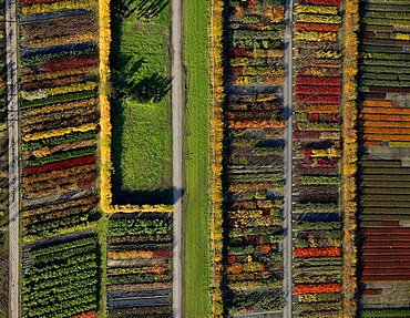 Aerial view, gardening, arboretum, Datteln-Horneburg, Recklinghausen, North Rhine-Westphalia, Germany, Europe