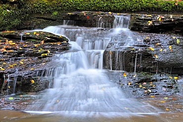 Waterfall, North Black Forest, Baden-Wuerttemberg, Germany, Europe