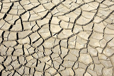 Dried out earth, Camargue, Provence, Southern France, France, Europe