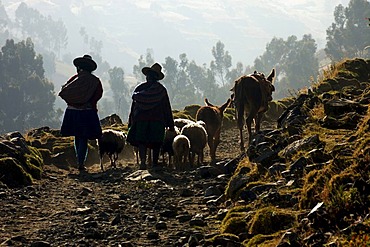 Local people near Huaraz, Peru, South America