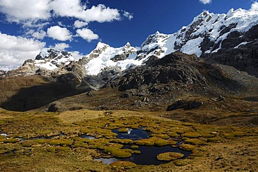 Near Laguna Carnicero, Cordillera Huayhuash, Peru, South America