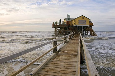 Restaurant Strandbar built on stilts off the St. Peter-Ording beach, Eiderstedt Peninsula, Schleswig-Holstein, Germany, Europe