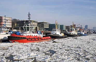 Harbour tugs anchored in front of Altona at the Port of Hamburg, at back the Elbperlen, Hamburg, Germany, Europe