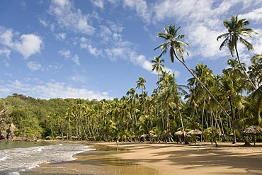 Playa Medina, beach, Venezuela, Caribbean, South America