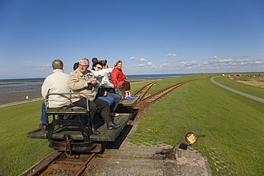 Holiday guests being driven from Luettmoorsiel to Hallig Nordstrandischmoor on a wagon, North Sea, Northern Frisia, Schleswig-Holstein, Germany, Europe