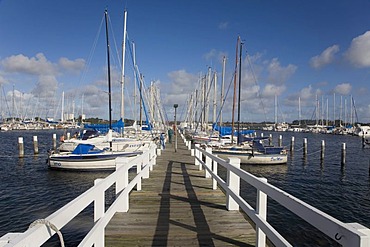 Marina or yacht harbor at Burgtiefe on Fehmarn Island, Schleswig-Holstein, Germany, Europe