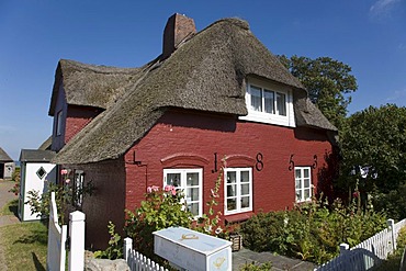 Frisian House in the Nebel Community, Amrum Island, North Frisia, Schleswig-Holstein, Germany, Europe