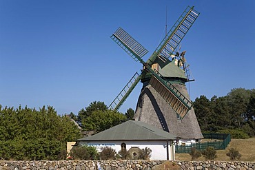 Windmill and museum in the community of Nebel on Amrum Island, North Frisia, Schleswig-Holstein, Germany, Europe