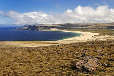 Westfjords beach and steep coast between Breidavik and Latrabjarg, Iceland, Europe