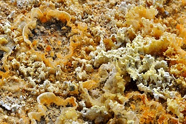 Sulfur fumaroles, sulfureous crystals, solfatara at Crater Lake Viti, caldera Krafla, MËvatn, Iceland, Europe