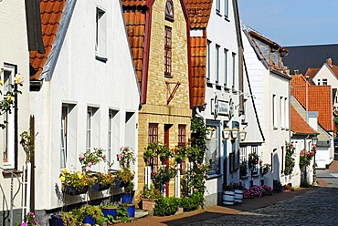 Suederholmstrasse in the fishermen's quarter, Schleswig, Schleswig-Holstein, Germany, Europe