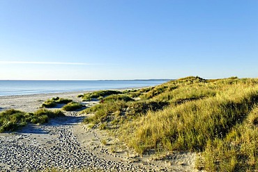 Baltic Sea near Albaek, Jutland, Denmark, Europe