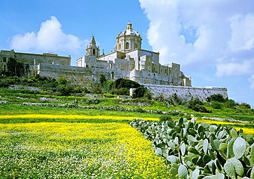 Town walls and Saint Peter's and Paul's Cathedral, Mdina, Malta, Europe