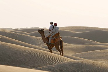 Camel with 2 riders at the sand dunes at Sam, Thar Desert, Rajasthan, North India, Asia