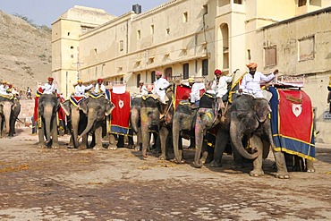 Elephants at Amber Palace, Rajasthan, North India, Asia