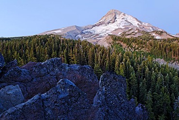 Eastern flank of Mount Hood Volcano with the Elliot Glacier, Cloud Cap, Cascade Range, Oregon, USA