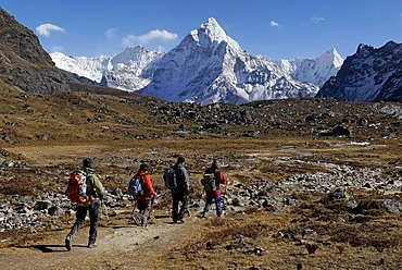 Trekking group at Chola Khola Valley near Dzonglha in front of Mount Ama Dablam, 6856m, Sagarmatha National Park, Khumbu Himal, Nepal, Asia