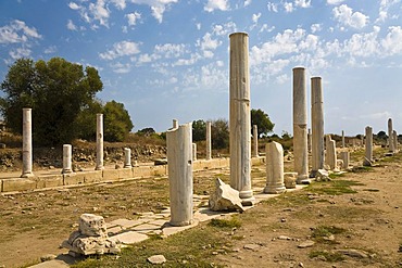 Row of columns, Roman ruins in Side, Turkish Riviera, Turkey, Asia