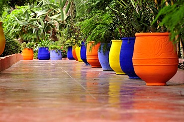 Jardin Majorelle, Marrakech, Morocco, Africa