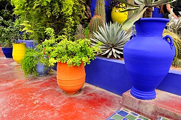 Jardin Majorelle, Marrakech, Morocco, Africa