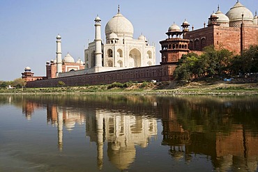 Taj Mahal reflecting in the Yamuna river, UNESCO World Heritage Site, Agra, Uttar Pradesh, India, South Asia