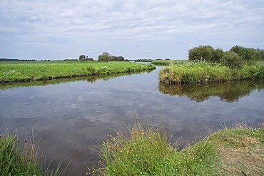 Port of Breca, Site of the Ramsar Convention on Wetlands, Regional Natural Park of La Briere or Grande Briere, Pays de Loire, France, Europe