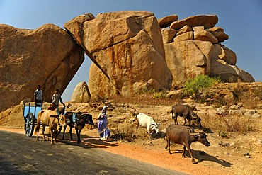 Bullock cart in front of granite rocks, Hampi, Karnataka, India, South Asia