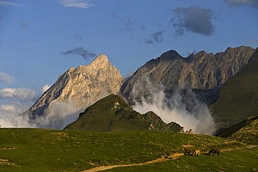 Grand Gabison, pyrenees at Col d'Aubisque, Aquitaine, France, Europe