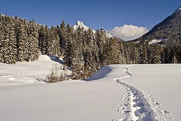 Snow-covered winter landscape with snow shoe tracks and Guffert mountain, Achenkirch, Tyrol, Austria