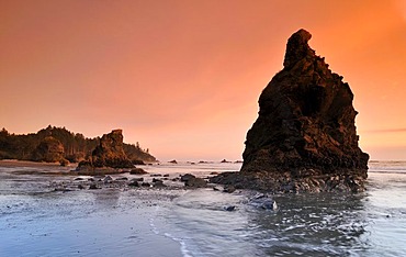 Rialto Beach, Mora, Olympic National Park, Washington, USA, North America