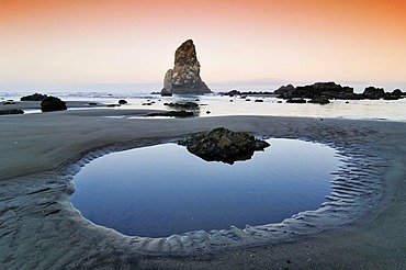 Monolith, solidified lava rock at Cannon Beach, Clatsop County, Oregon, USA, North America