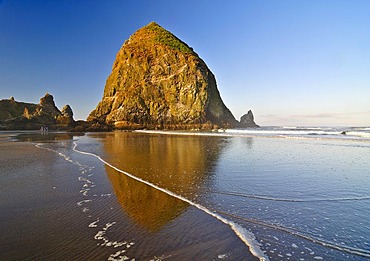 Famous "Haystack Rock" monolith, solidified lava rock at Cannon Beach, tourist attraction, Clatsop County, Oregon, USA, North America