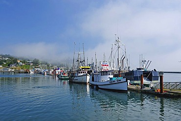 Newport harbour, Yaquina Bay, Lincoln County, Oregon, USA