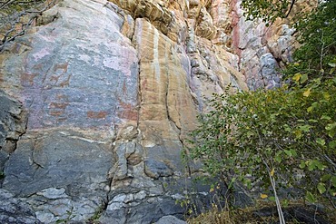 Rock paintings with Giraffes in UNESCO World Heritage Site, Tsodilo Hills, Botswana, Africa