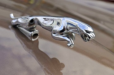 Hood ornament of a Jaguar XJ6