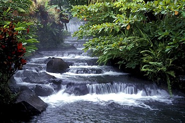 Tabacon, hot springs near Arenal Volcano, Costa Rica, Central America