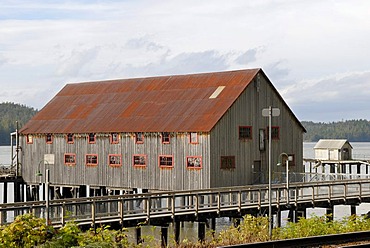 Abandoned fish cannery, Historic Northern Pacific Cannery, Prince Rupert, British Columbia, Canada, North America