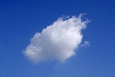 Small cumulus cloud in the blue sky