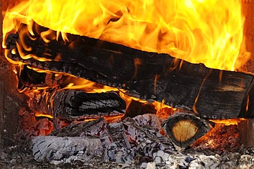 Wood fire, blazing, red hot logs, large flames