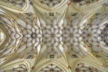 Interior view of reticulated or stellar vaulting on nave, Alexander Church, Alexanderkirche, Marbach am Neckar, Baden-Wuerttemberg, Germany, Europe