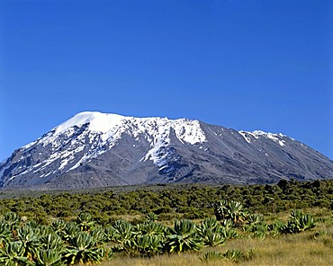 Mount Kilimanjaro, Kilimanjaro National Park, UNESCO World Heritage Site, stratovolcano, Tanzania, East Africa