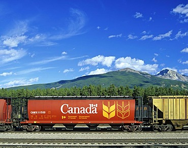 Wheat carriage, railway, Canada